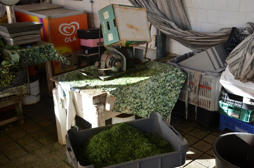 Gr&uuml;nkohl-Zerschneide-Maschine